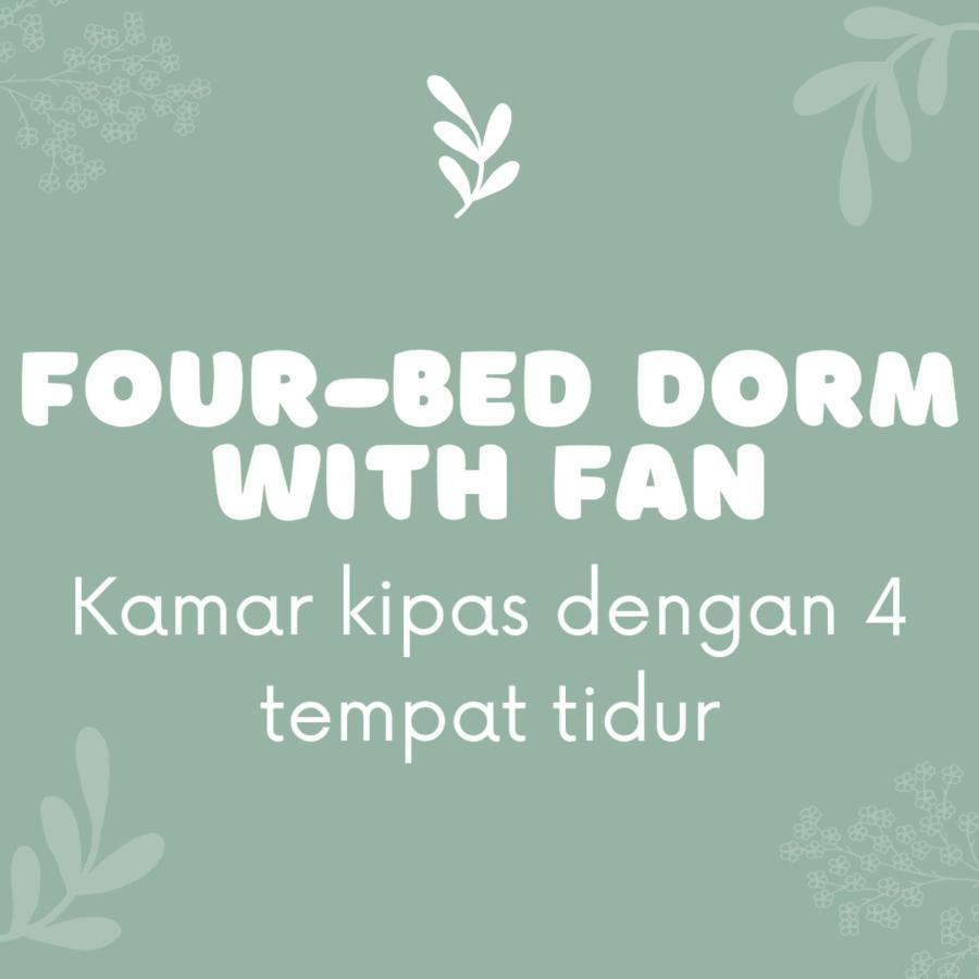 Laura's Backpacker 523 Asrama